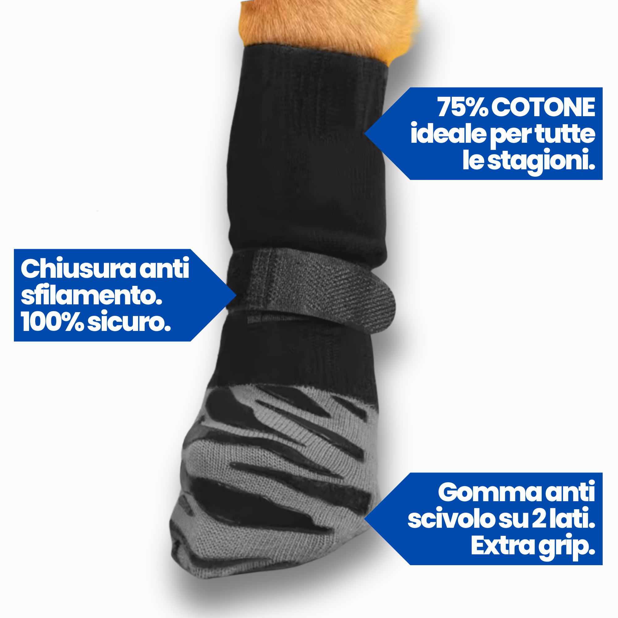 GripX | calzini anti-slip per cani