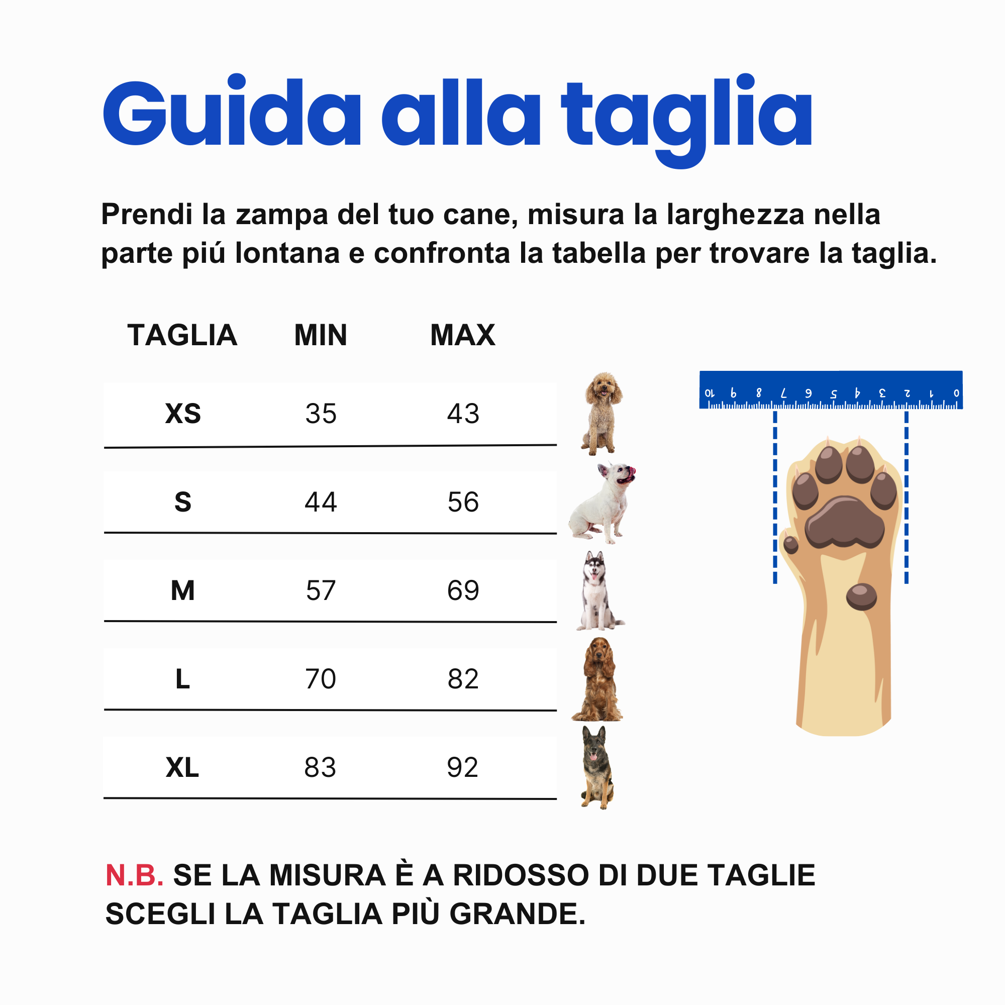 GripX | calzini anti-slip per cani